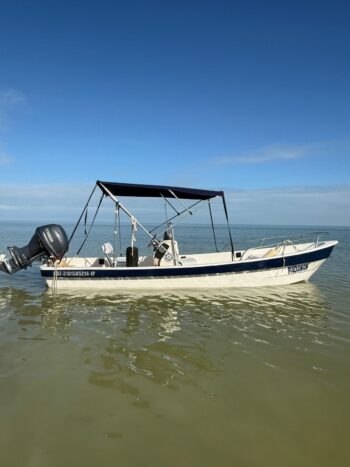 18 ARGOS CONSOLA CENTRAL 2022