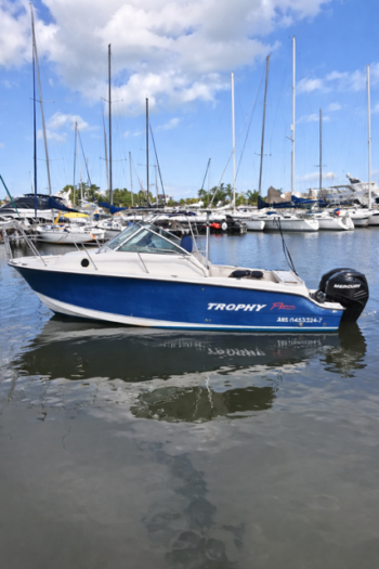 TROPHY 2502 WALKAROUND 2006