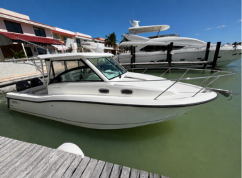 BOSTON WHALER 315 CONQUEST 2023