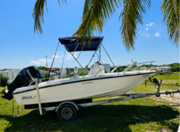 BOSTON WHALER 180 DAUNTLESS 2008