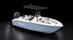 ROBALO R202 CONSOLA CENTRAL 2027