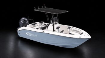 ROBALO R202 CONSOLA CENTRAL 2027