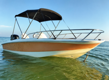 BOSTON WHALER 150 SUPER  SPORT 2011